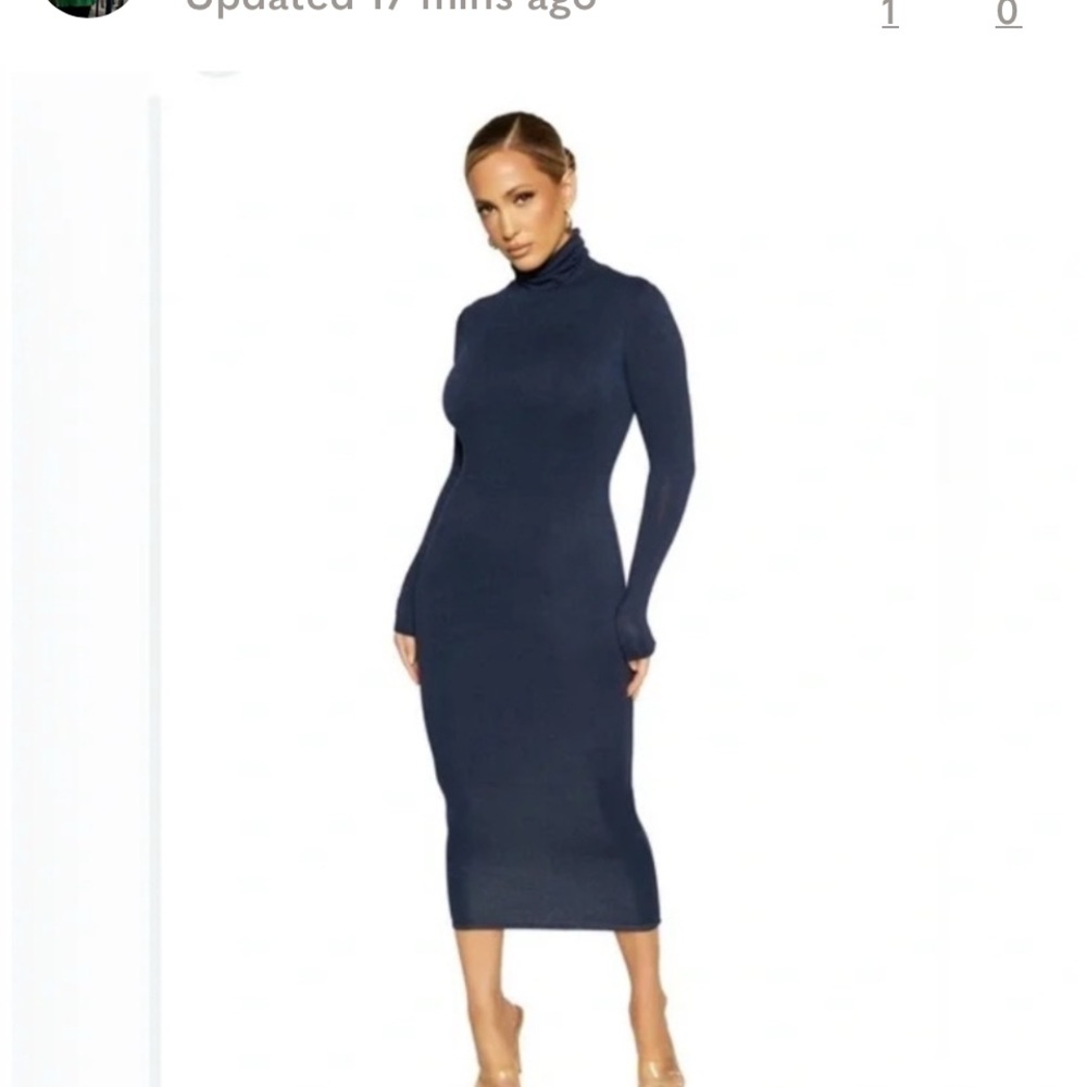 Zara Navy Blue Turtleneck Dress